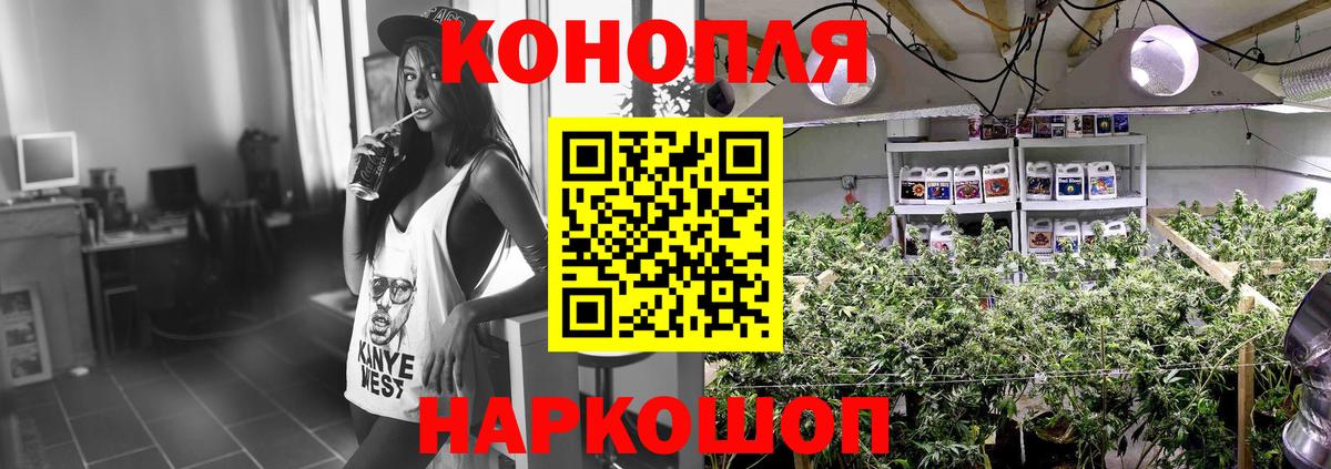 Бошки марихуана гибрид  Каннабис планчик  МАРИХУАНА Bruce Banner  Кирово-Чепецк  Вход с VPN 
